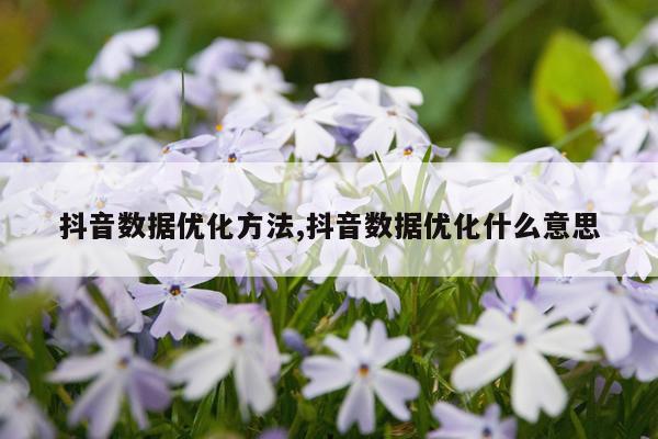 抖音数据优化方法,抖音数据优化什么意思