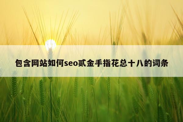 包含网站如何seo贰金手指花总十八的词条