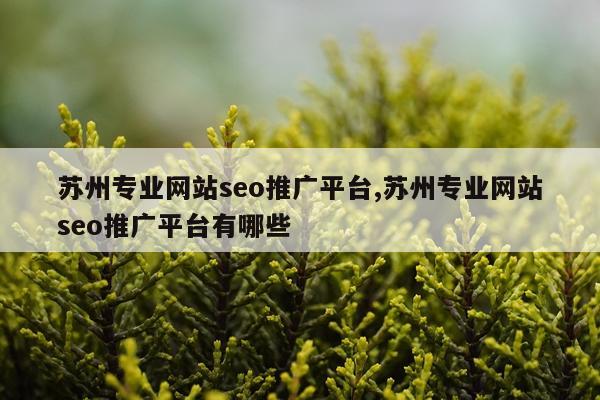 苏州专业网站seo推广平台,苏州专业网站seo推广平台有哪些