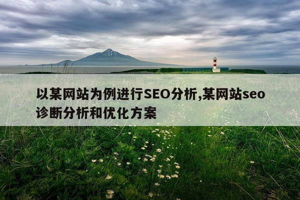 以某网站为例进行SEO分析,某网站seo诊断分析和优化方案