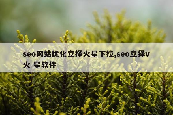 seo网站优化立择火星下拉,seo立择v火 星软件