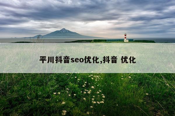 平川抖音seo优化,抖音 优化
