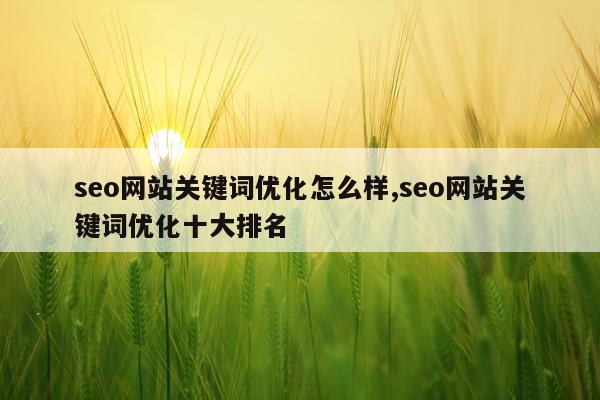 seo网站关键词优化怎么样,seo网站关键词优化十大排名