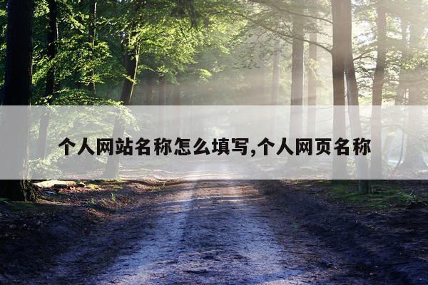 个人网站名称怎么填写,个人网页名称