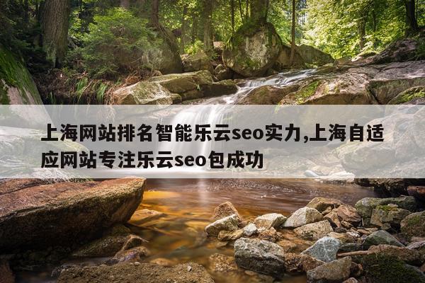 上海网站排名智能乐云seo实力,上海自适应网站专注乐云seo包成功