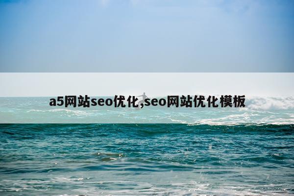 a5网站seo优化,seo网站优化模板