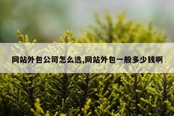 网站外包公司怎么选,网站外包一般多少钱啊
