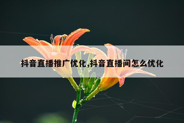 抖音直播推广优化,抖音直播间怎么优化