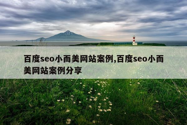 百度seo小而美网站案例,百度seo小而美网站案例分享