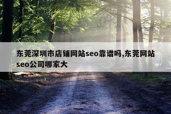 东莞深圳市店铺网站seo靠谱吗,东莞网站seo公司哪家大