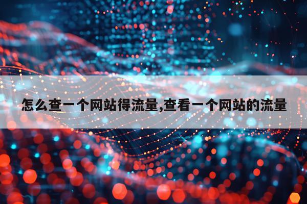 怎么查一个网站得流量,查看一个网站的流量