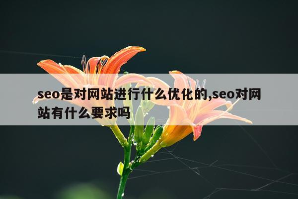 seo是对网站进行什么优化的,seo对网站有什么要求吗