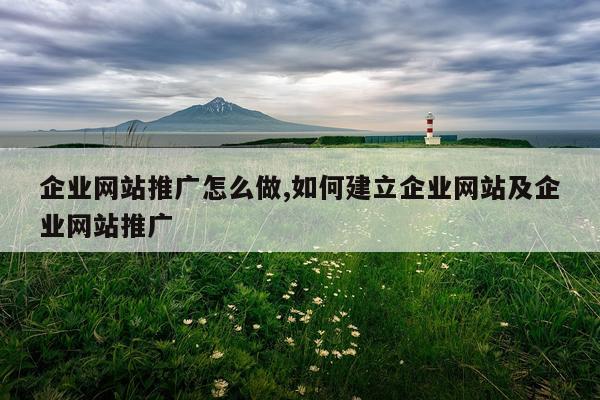企业网站推广怎么做,如何建立企业网站及企业网站推广