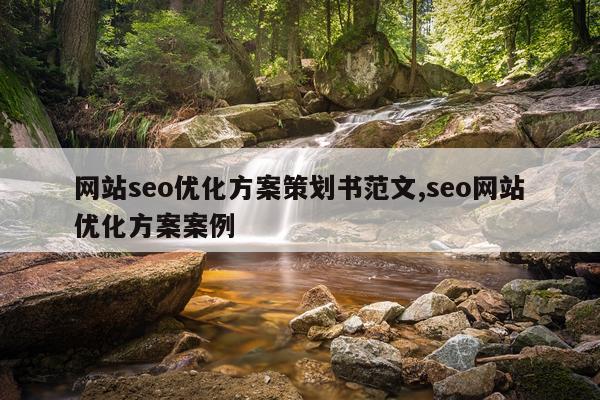 网站seo优化方案策划书范文,seo网站优化方案案例