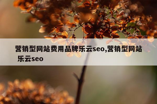 营销型网站费用品牌乐云seo,营销型网站 乐云seo