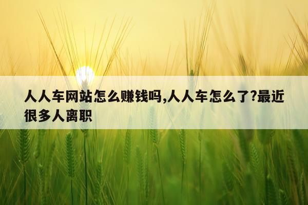 人人车网站怎么赚钱吗,人人车怎么了?最近很多人离职