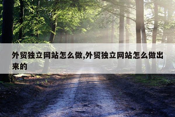 外贸独立网站怎么做,外贸独立网站怎么做出来的