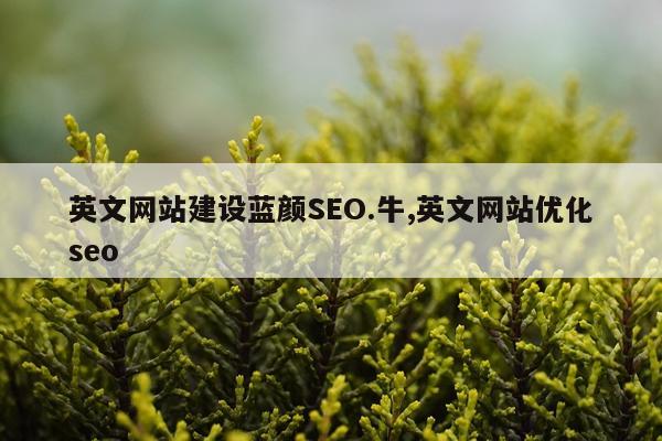 英文网站建设蓝颜SEO.牛,英文网站优化seo