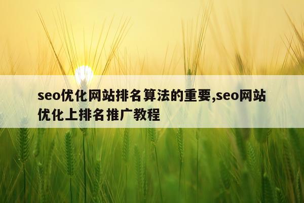 seo优化网站排名算法的重要,seo网站优化上排名推广教程