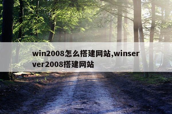 win2008怎么搭建网站,winserver2008搭建网站