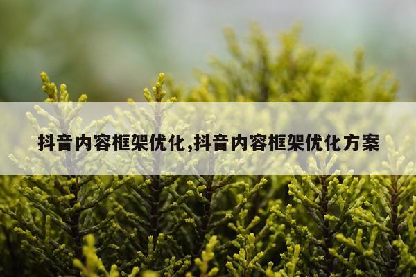 抖音内容框架优化,抖音内容框架优化方案