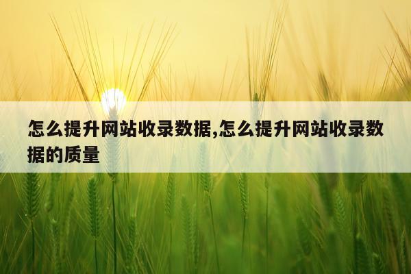 怎么提升网站收录数据,怎么提升网站收录数据的质量