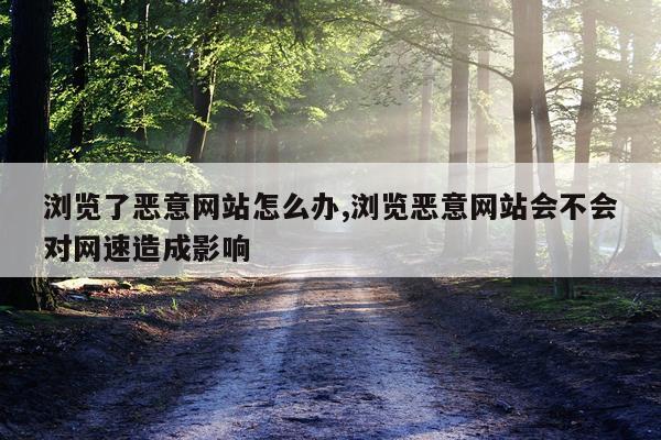 浏览了恶意网站怎么办,浏览恶意网站会不会对网速造成影响