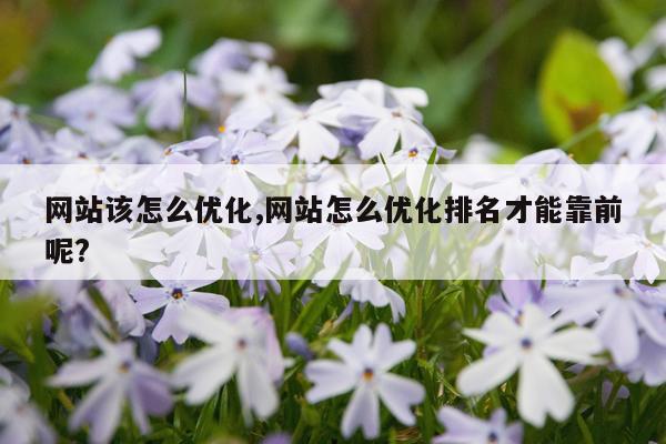 网站该怎么优化,网站怎么优化排名才能靠前呢?
