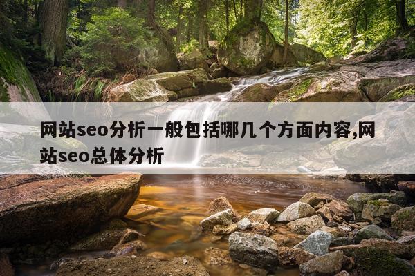 网站seo分析一般包括哪几个方面内容,网站seo总体分析