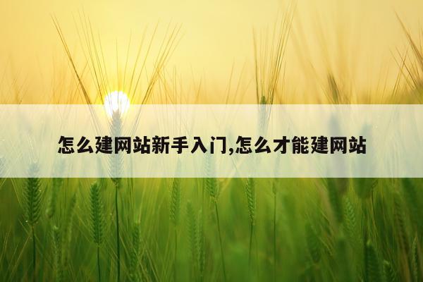 怎么建网站新手入门,怎么才能建网站