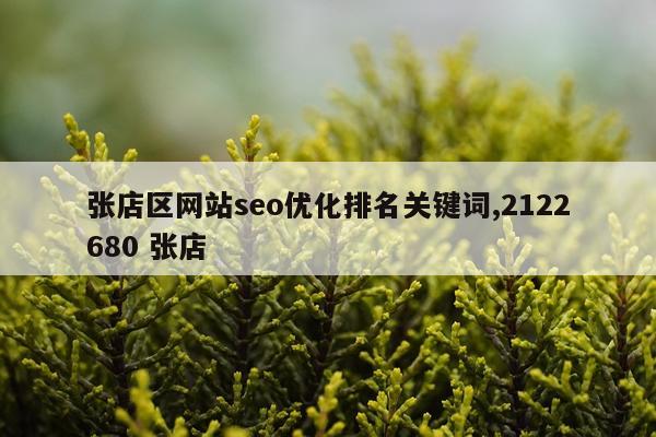 张店区网站seo优化排名关键词,2122680 张店