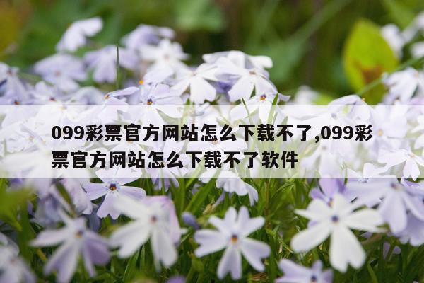 099彩票官方网站怎么下载不了,099彩票官方网站怎么下载不了软件