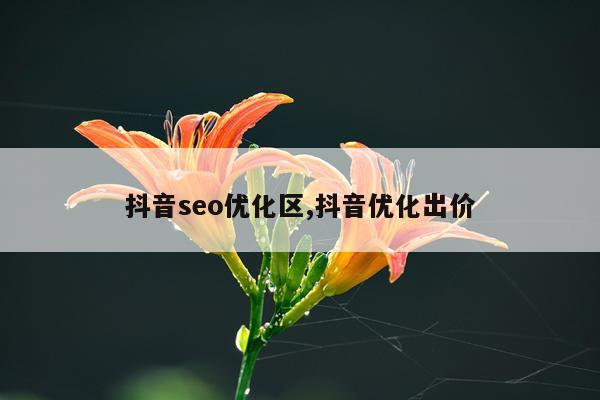 抖音seo优化区,抖音优化出价