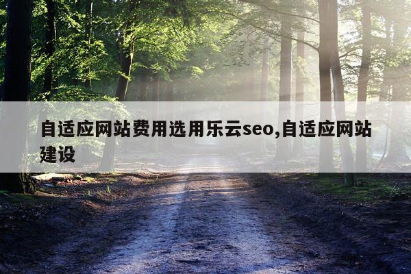 自适应网站费用选用乐云seo,自适应网站建设