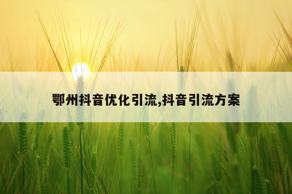 鄂州抖音优化引流,抖音引流方案