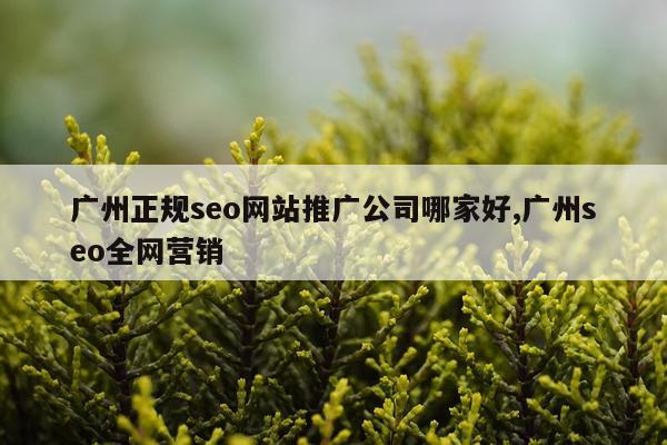 广州正规seo网站推广公司哪家好,广州seo全网营销