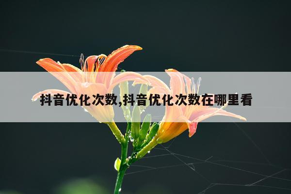 抖音优化次数,抖音优化次数在哪里看