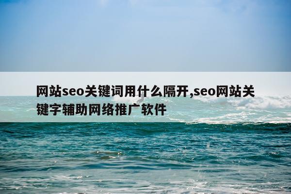 网站seo关键词用什么隔开,seo网站关键字辅助网络推广软件