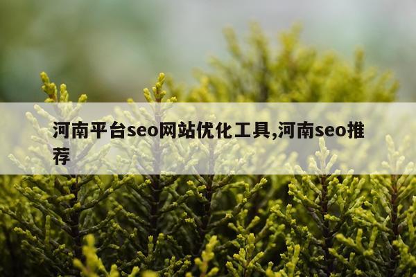 河南平台seo网站优化工具,河南seo推荐