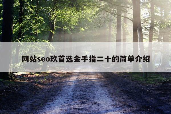 网站seo玖首选金手指二十的简单介绍