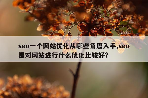seo一个网站优化从哪些角度入手,seo是对网站进行什么优化比较好?