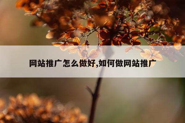 网站推广怎么做好,如何做网站推广
