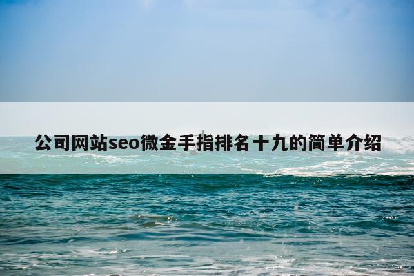 公司网站seo微金手指排名十九的简单介绍