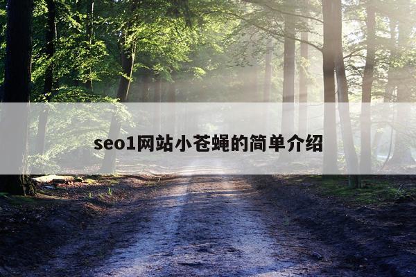 seo1网站小苍蝇的简单介绍