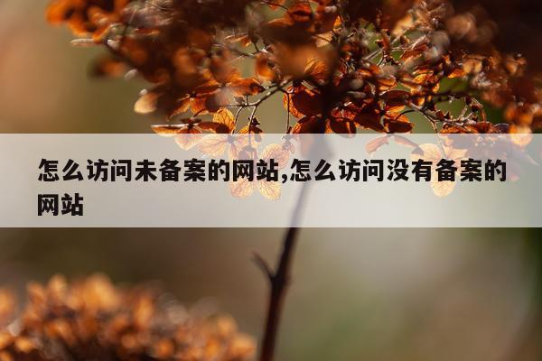 怎么访问未备案的网站,怎么访问没有备案的网站
