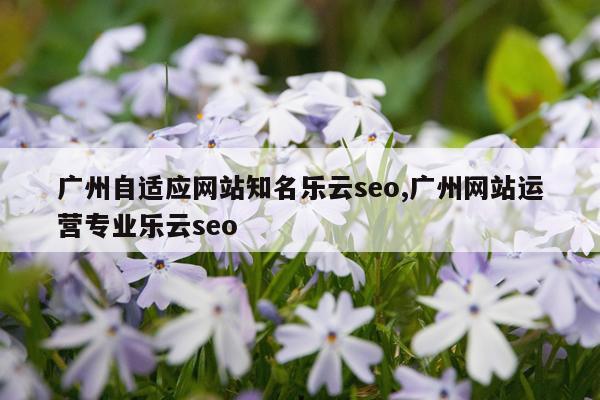 广州自适应网站知名乐云seo,广州网站运营专业乐云seo