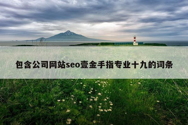 包含公司网站seo壹金手指专业十九的词条