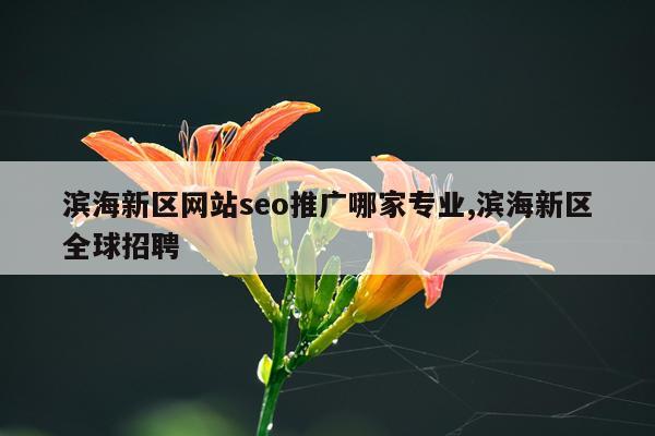 滨海新区网站seo推广哪家专业,滨海新区全球招聘