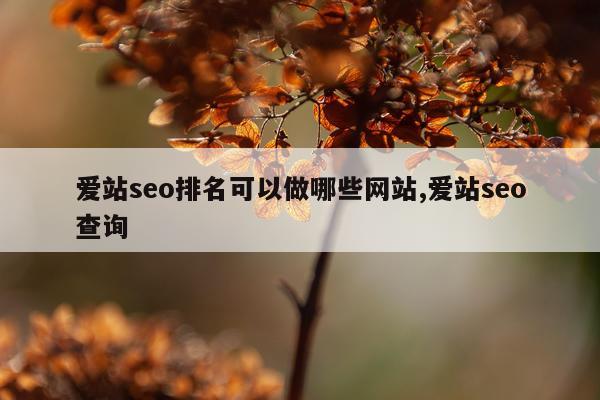 爱站seo排名可以做哪些网站,爱站seo查询