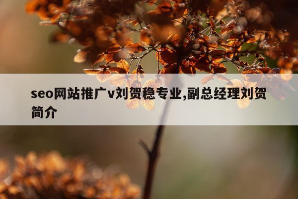 seo网站推广v刘贺稳专业,副总经理刘贺简介